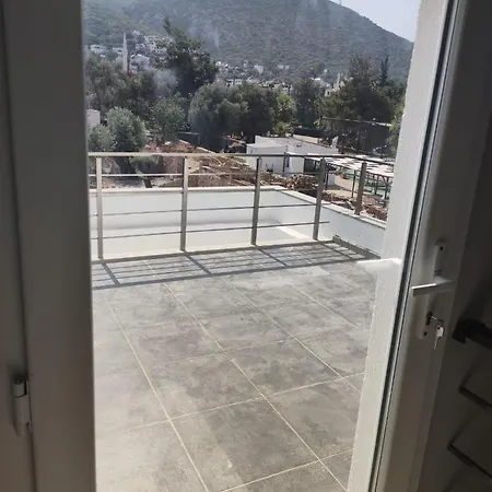 Woll-zeytin * Bodrum