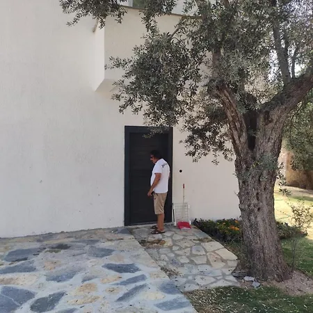 Szálloda Woll-zeytin Bodrum