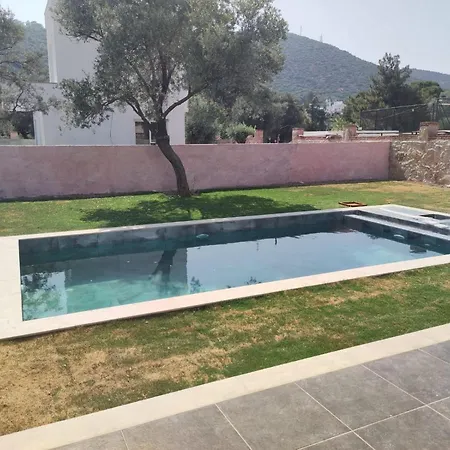 Woll-zeytin Bodrum